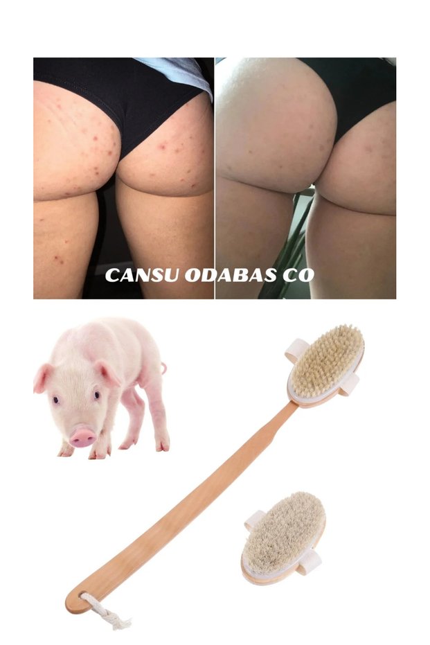 Genuine Boar Hair for Butt and Back Area Pimples into Pores Solution Shower Body Brush Long Handle Back Brush
