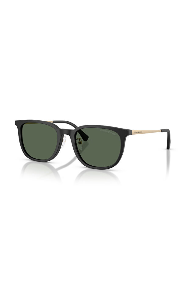 Ea 4286D 500171 55 Sunglasses