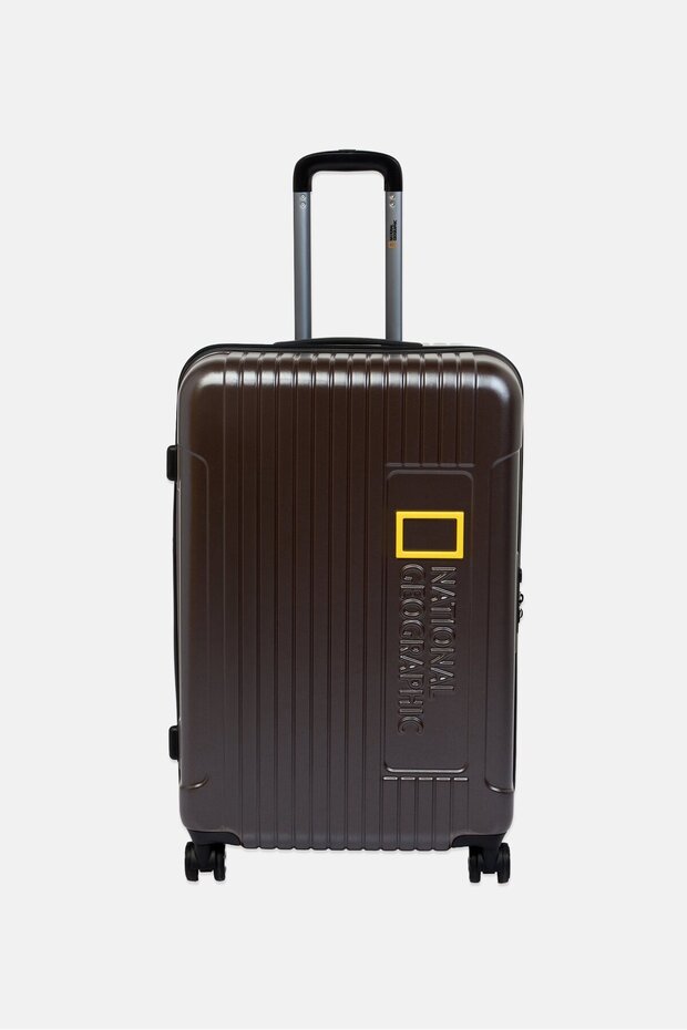 20 Inch Hardshell Cabin Spinner Luggage, Taupe
