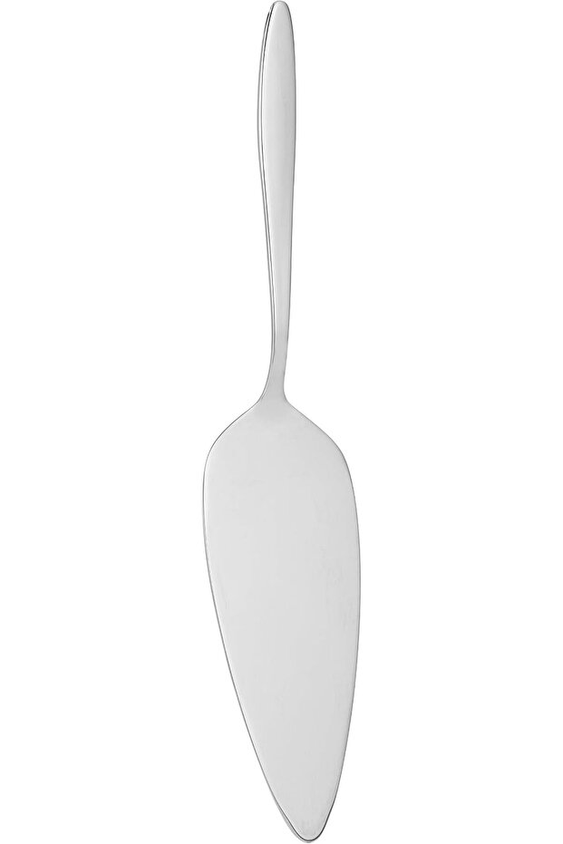 2724643695963 Stainless Steel Cake Server, Silver
