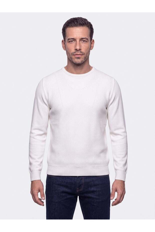 Ecru Crew Neck Micro Patterned Men's Knitwear Sweater