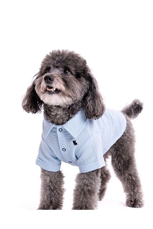 MAVİ KÖPEK GÖMLEK