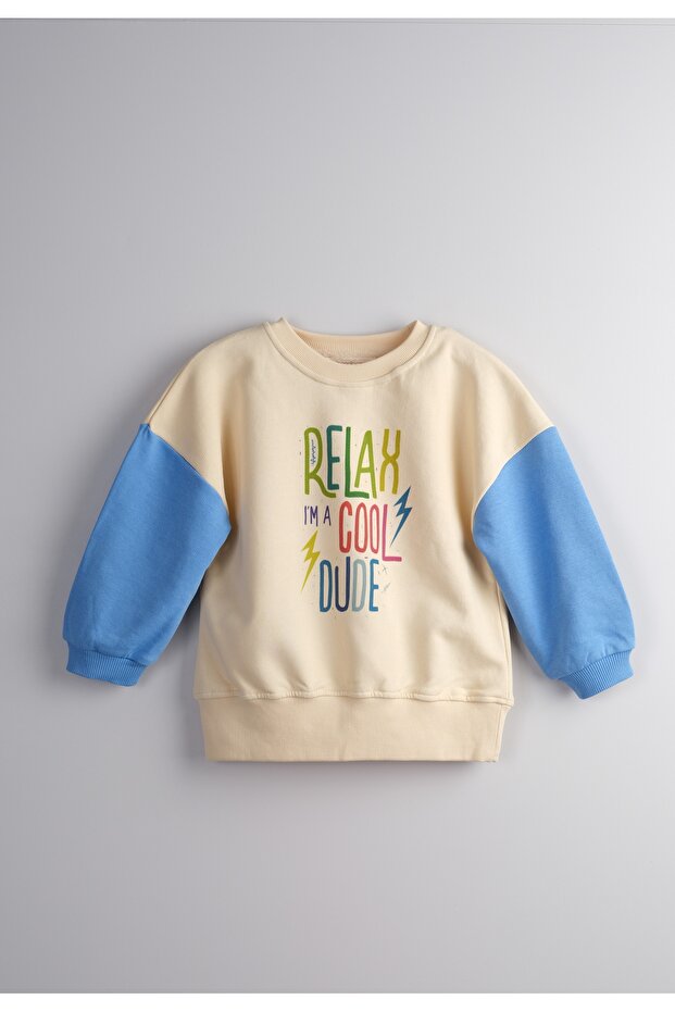 Printed Boys' Sweatshirt 100% Cotton