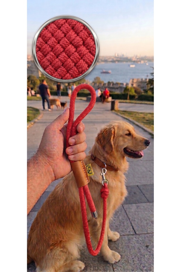 Dog Walking Leash - Red - 120cm