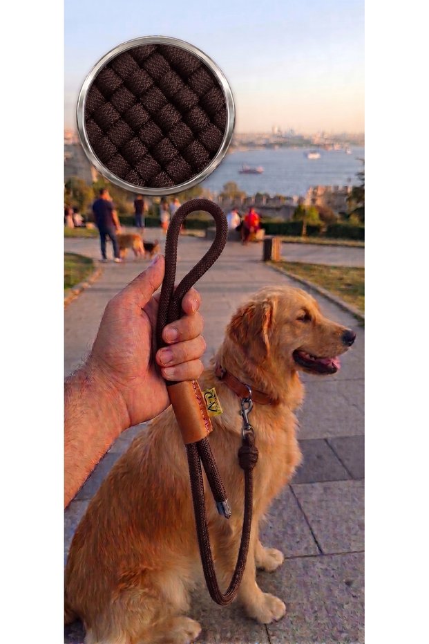 Dog Walking Leash - Brown - 120cm