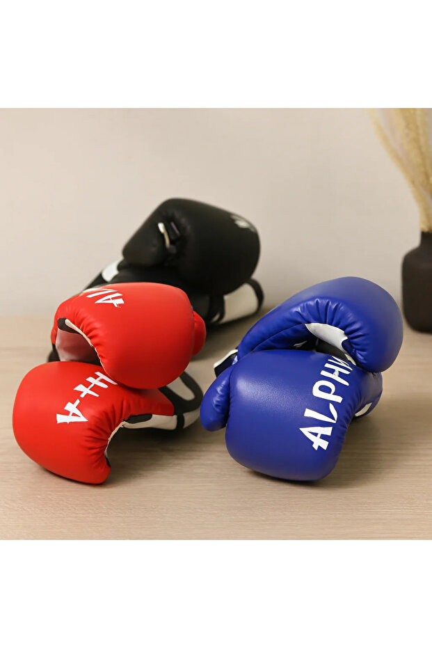 Boxing Gloves 36