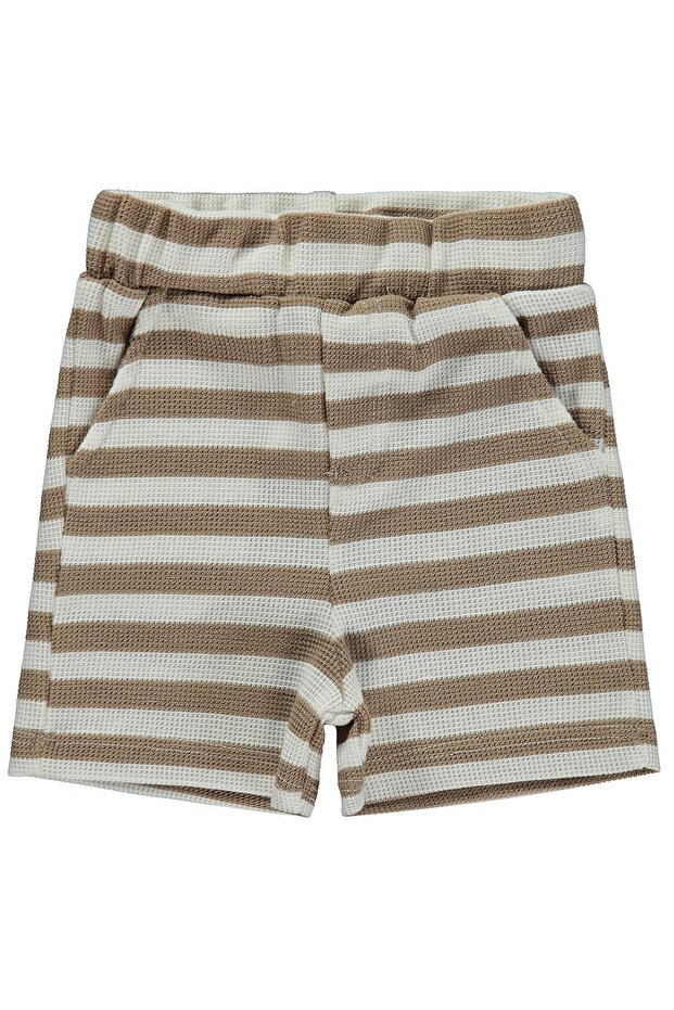 Striped 6-18 Months Shorts - Brown