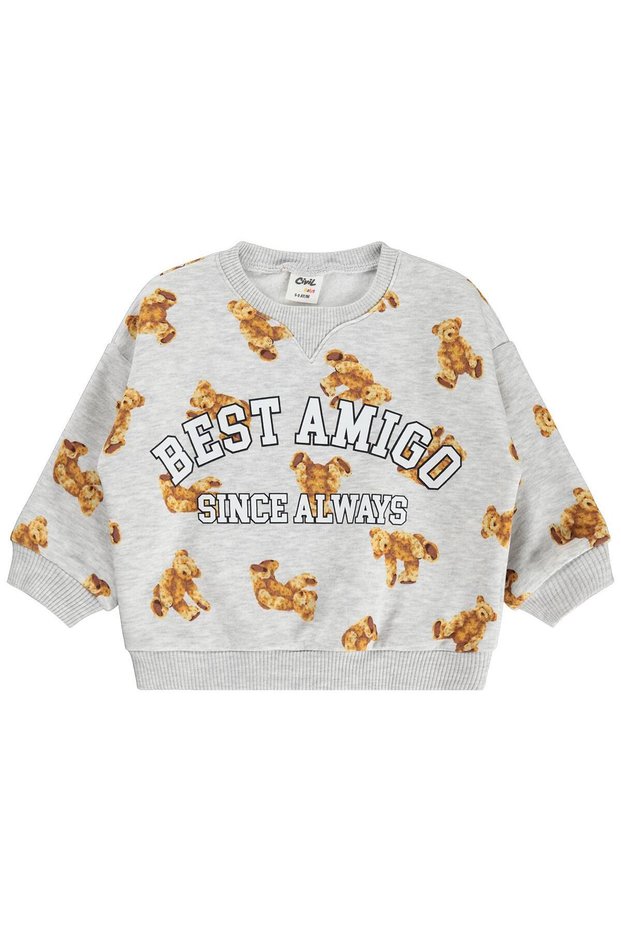 Teddy Bear Printed 6-18 Months Sweatshirt - Gray
