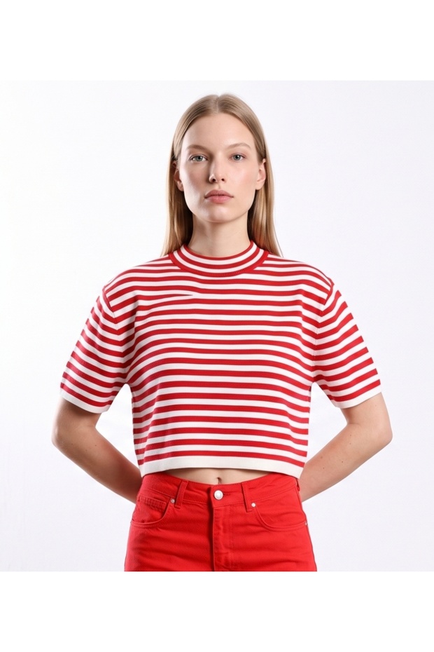 Striped Short Sleeve Knitwear Crop