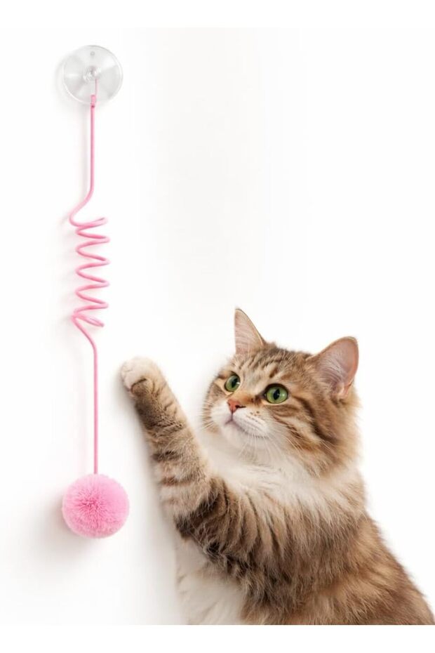 Elastic Cat Toy Interactive Pompom Ball Moving Cat Exercise Toy Multi Color