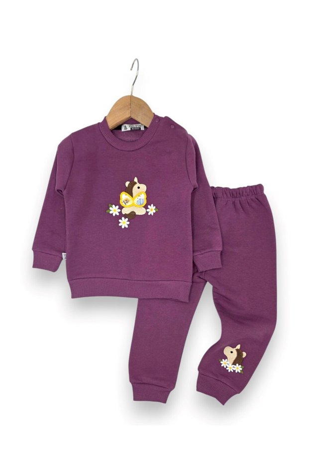 Baby Girl Winter 3 Thread Threaded Daisy and Horse Embroidered 6-9-12-18-24 Months 2-Piece Top and Bottom Set