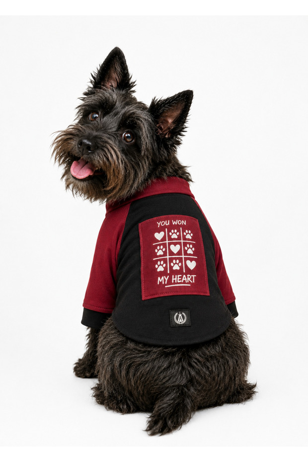 YouWon Pet Sweatshirt