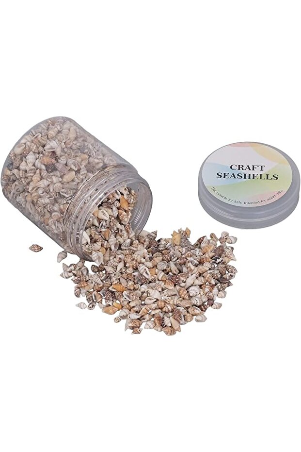 Sea Shells, 1 Can Mixed Tiny Sea Shells Small Beach Spiral Seashells Multipurpose Ocean Beach Seashe