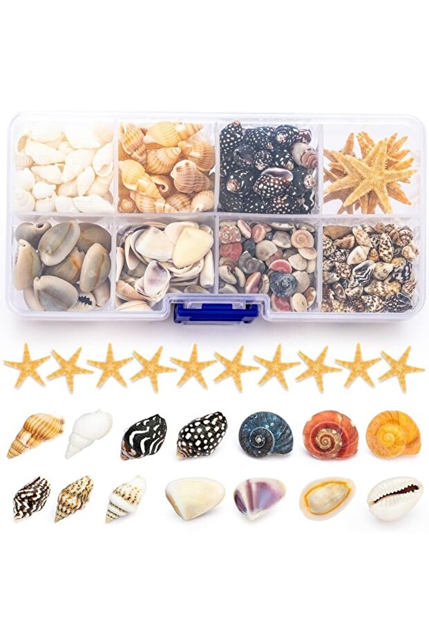 8 Kinds Premium Tiny Seashell Mix, Including Sea Shells, Sea Snails and Starfish, Shells for