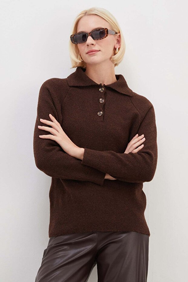 Sweaters - Brown - Regular fit