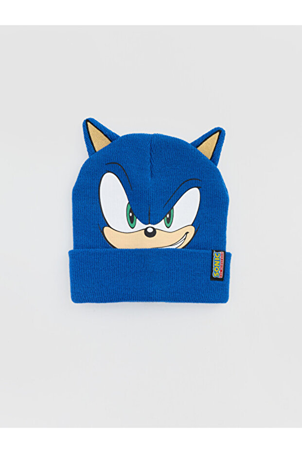 I Blue Fast Hedgehog from Freezen Storeboy's Beanie