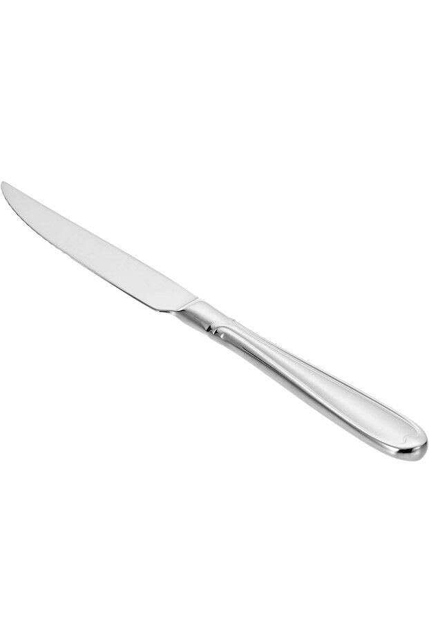Stainless Steel 18/10 Steak Knife Proud, Silver