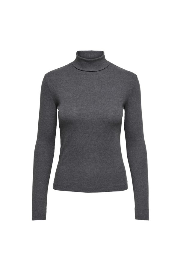 JDYLUCKY L/S ROLLNECK JRS DIA