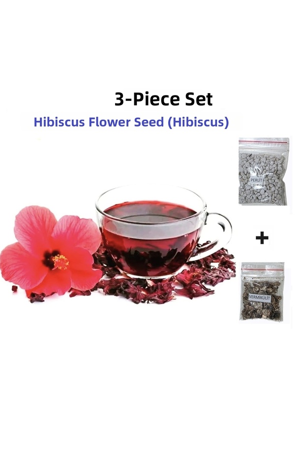 Set of 3, Red Tea Hibiscus Seeds, Hibiscus, Okra Flower, Mecca Rose, Kerkede, Aromatic Hibiscus and Perlite and Vermiculite