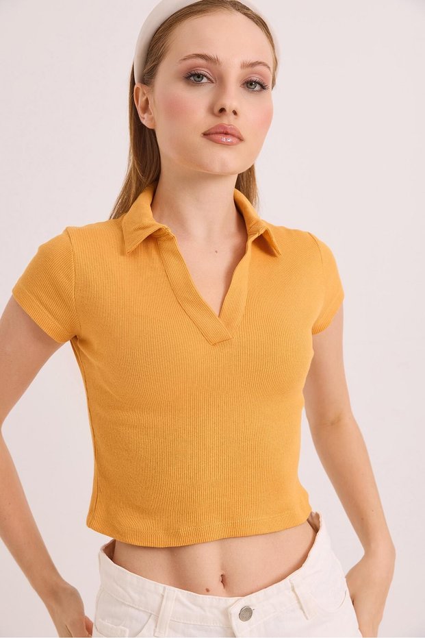 Mustard Knitted Camisole Fabric Polo Collar Short Sleeve Basic Ribbed Crop Form Blouse