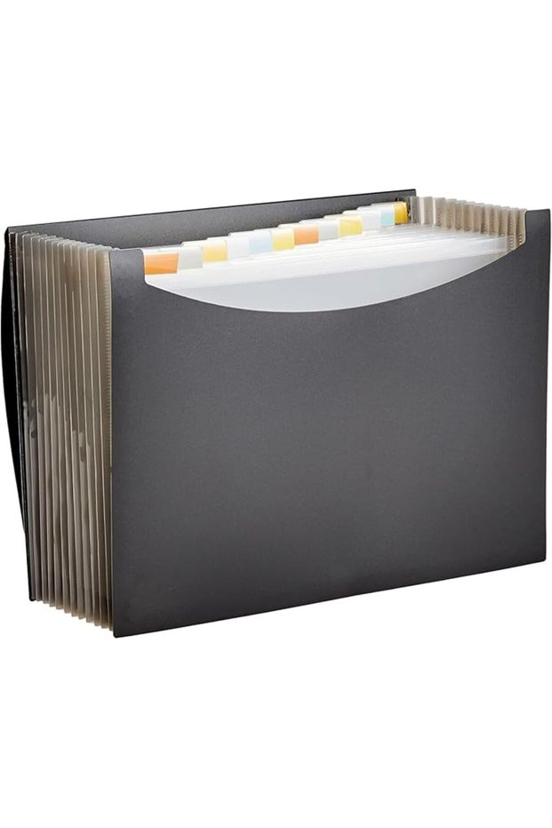 Basics Expanding Organizer File Folder, Letter Size - Black, 1-Pack