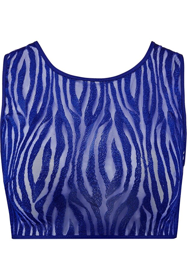 Wild Pulse Transparent Sleeveless Top, Zebra Pattern Crop Top, Bustier Style