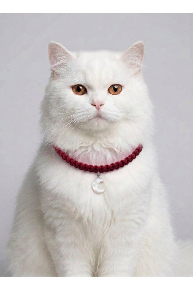 Red Hand-Knitted Macrame Cat Collar 27 cm - Stylish Cat Collar with Moon Figure Charm