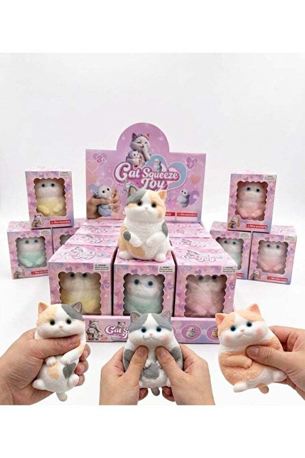 Assorted Cat Toy Set