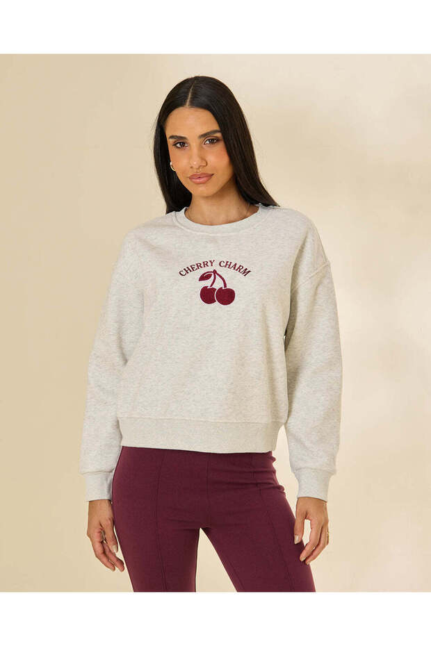Women Grey Embroidered Sweatshirt