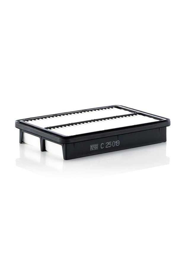 Filtru de aer C 25 019
