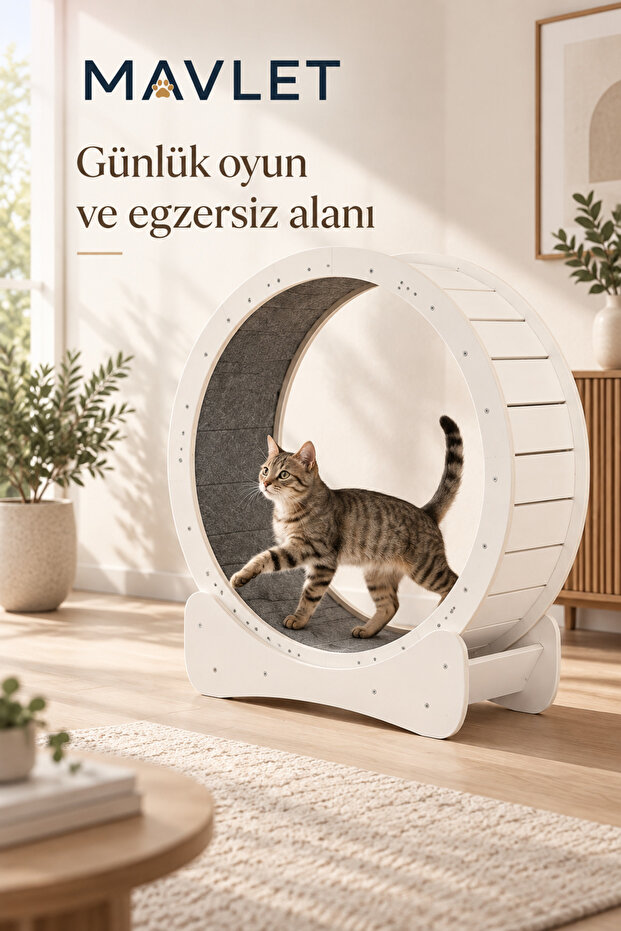 Cat Running Wheel 80 cm Large Size Wooden Exercise Wheel White