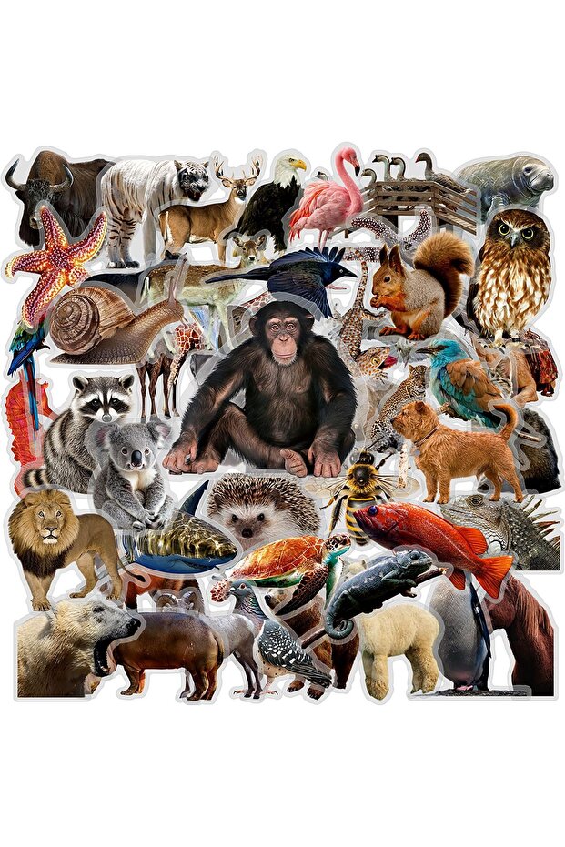 50PCS X2 50/100PCS Realistic Nature Animal Doodle Stickers, Clear PET Decals for Suitcase Skateboard