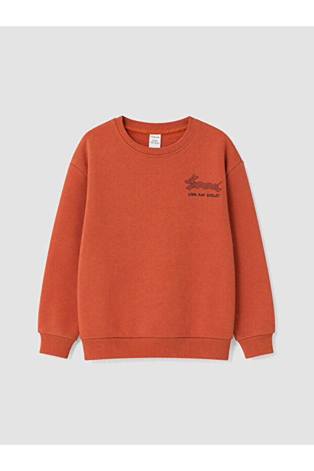 Sparkling Choices from Shining Store Embroidered Boys' Thick Sweatshirt