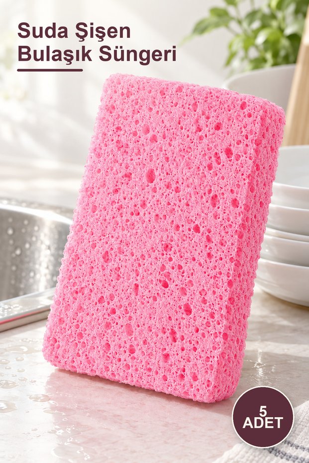 5 Pieces of Dish Sponge That Swells in Water
