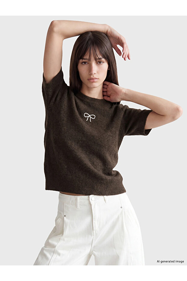 Brown Crew Neck Bow Embroidered Women's Knitwear Sweater