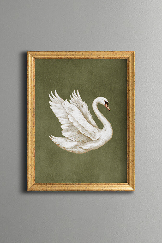 White Swan - Vintage Patterned Painting - Fine Model
