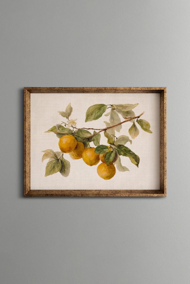 Oranges on the Branch - Vintage Patterned Painting - Fine Model