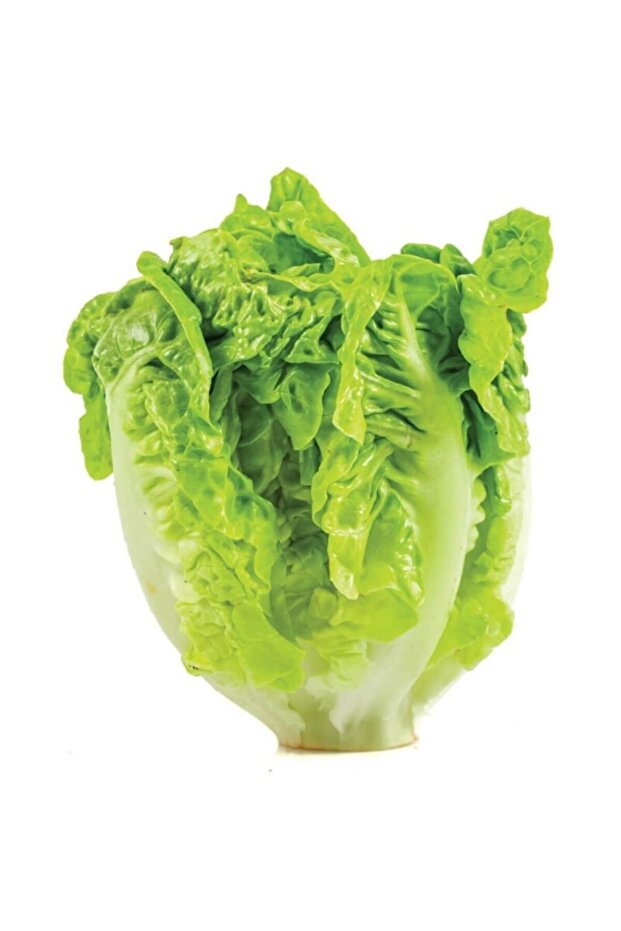 Mini Yedikule Marul 4'lü Paket - 1