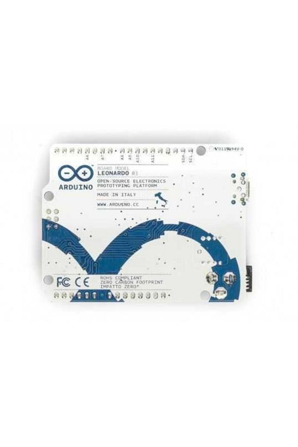 Orijinal Leonardo - 3