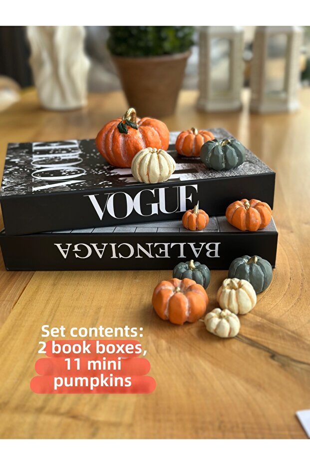 Bookcase+Pumpkin Set Bookshelf/ Coffee Table Top/ Shelf Combination/Home-Office Decor/Decoration