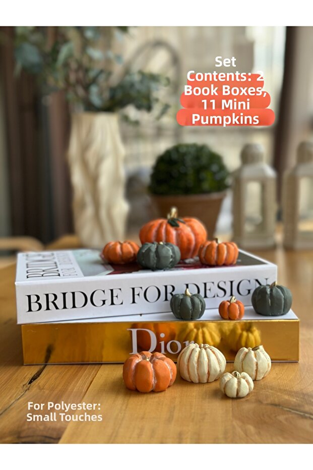 Bookcase+Pumpkin Set Bookshelf/ Coffee Table Top/ Shelf Combination/Home-Office Decor/Decoration