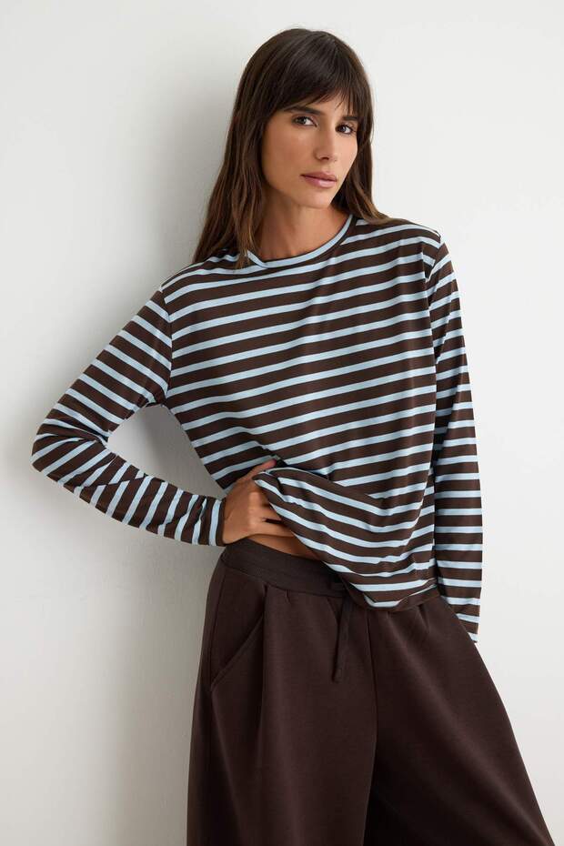 Brown Striped Regular Fit Basic Crew Neck Knitted T-Shirt Twoaw23Ts00002