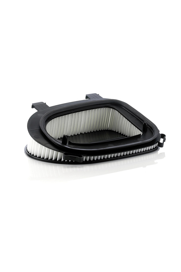 Filtru de aer C 36 014