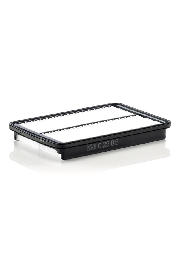 Filtru de aer C 29 019
