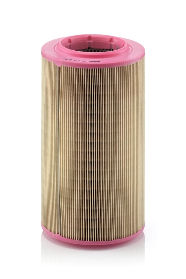 Filtru de aer C 17 237