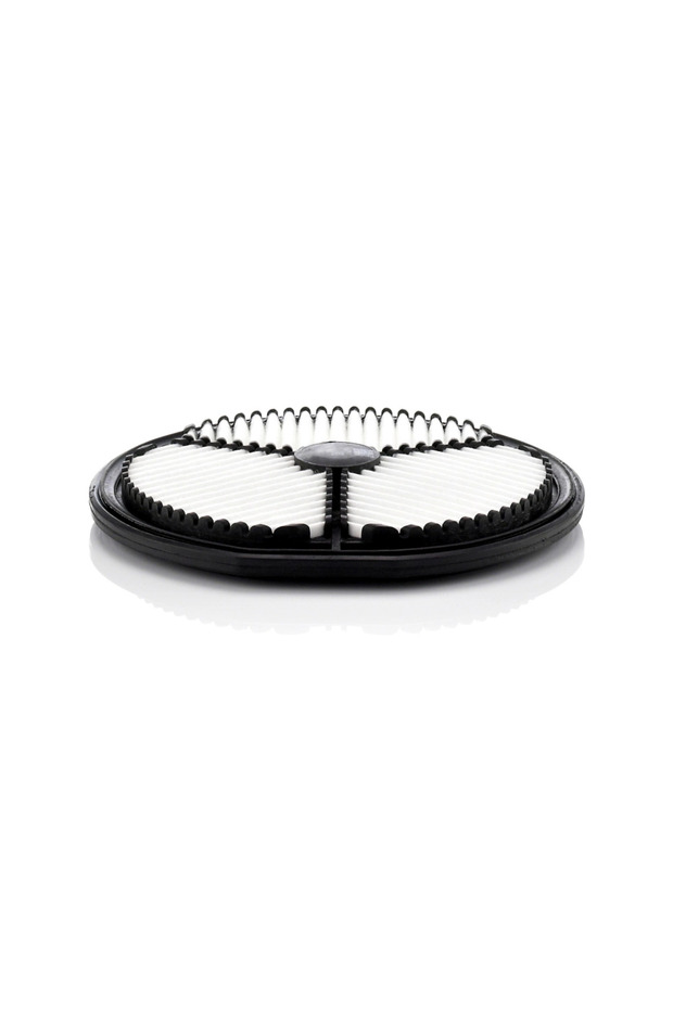 Filtru de aer C 2212