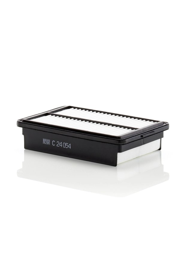 Filtru de aer C 24 054