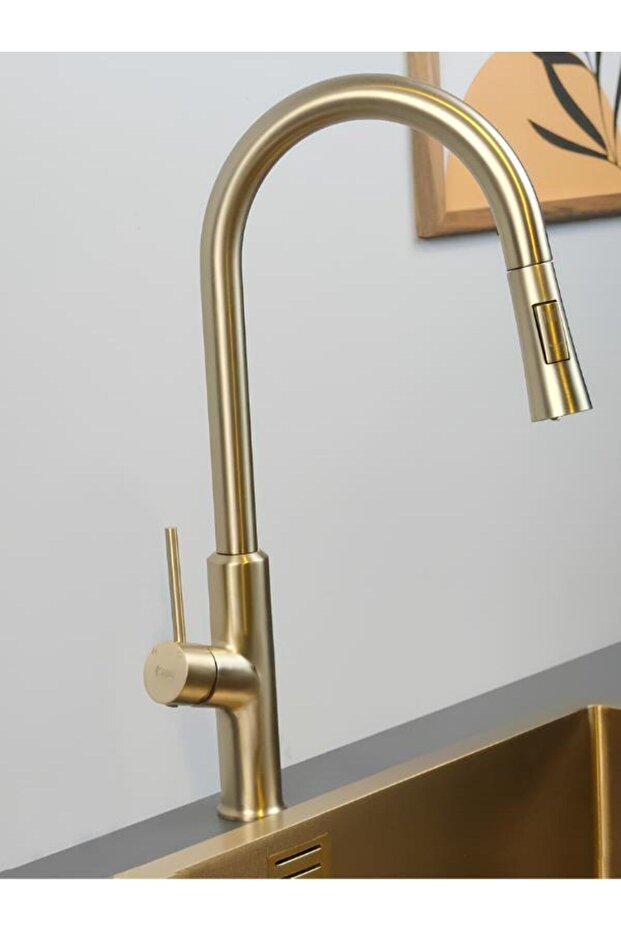 Glmbc Cl950-04 Aras Gold Spiral Kitchen Faucet