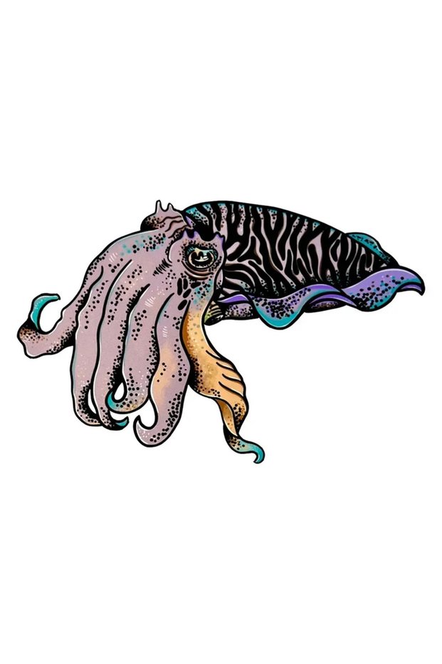 15CM 2pcs 2pcs Car Waterproof Self-adhesive Stickers, Squid Stickers, Bumper Automatic Decoration, R