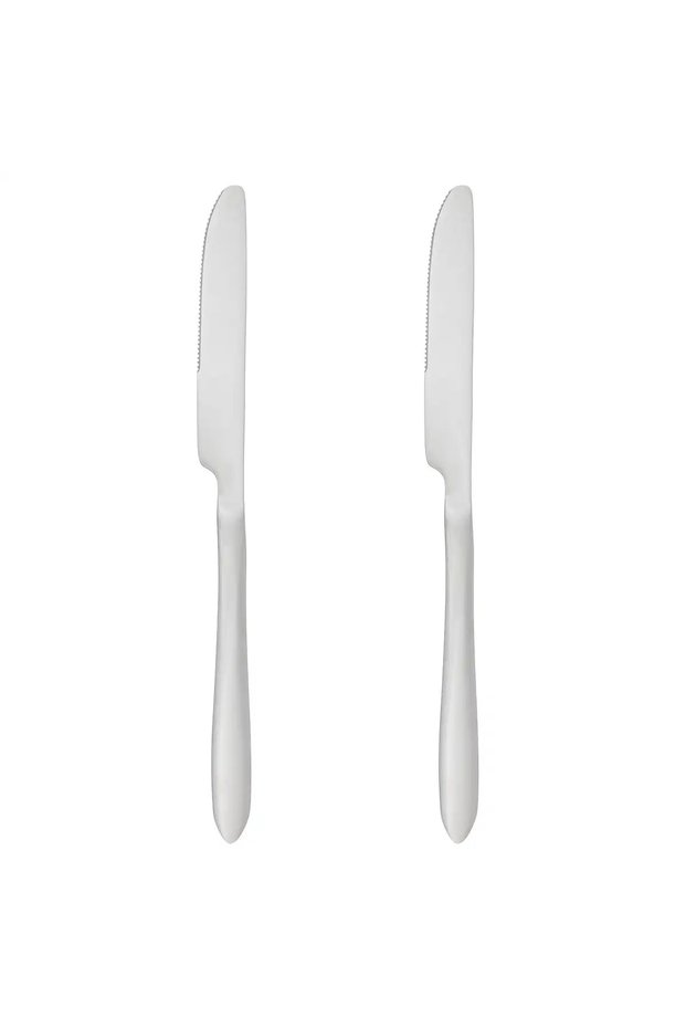Stainless Steel Knife Set (Silver, 2 Pc.)